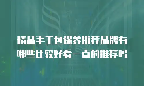 精品手工包保养推荐品牌有哪些比较好看一点的推荐吗