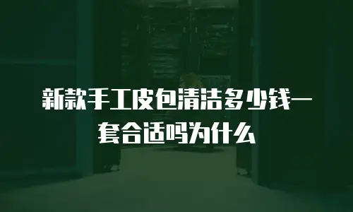 新款手工皮包清洁多少钱一套合适吗为什么