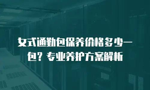 女式通勤包保养价格多少一包？专业养护方案解析