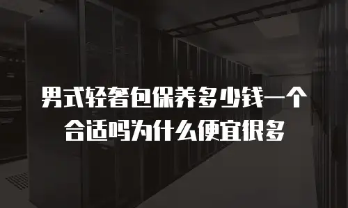 男式轻奢包保养多少钱一个合适吗为什么便宜很多