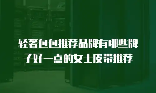 轻奢包包推荐品牌有哪些牌子好一点的女士皮带推荐