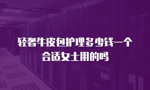 轻奢牛皮包护理多少钱一个合适女士用的吗