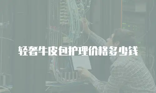 轻奢牛皮包护理价格多少钱