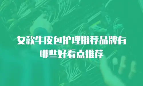 女款牛皮包护理推荐品牌有哪些好看点推荐