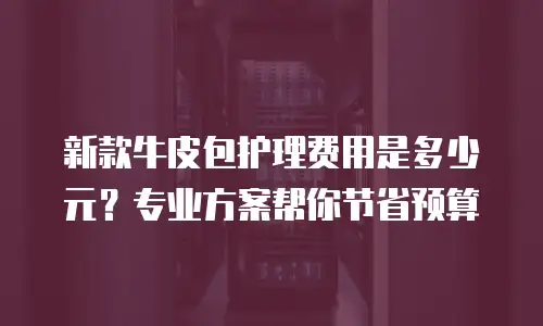 新款牛皮包护理费用是多少元？专业方案帮你节省预算