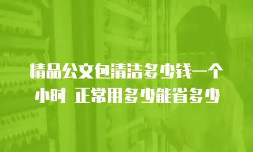 精品公文包清洁多少钱一个小时 正常用多少能省多少