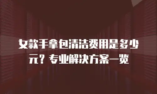 女款手拿包清洁费用是多少元？专业解决方案一览