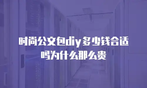 时尚公文包diy多少钱合适吗为什么那么贵