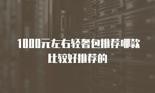 1000元左右轻奢包推荐哪款比较好推荐的