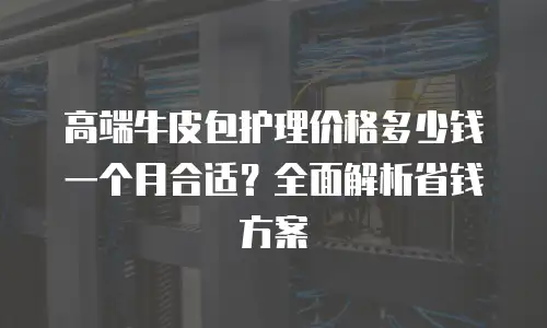 高端牛皮包护理价格多少钱一个月合适？全面解析省钱方案