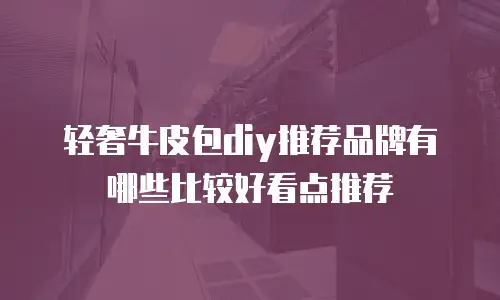 轻奢牛皮包diy推荐品牌有哪些比较好看点推荐