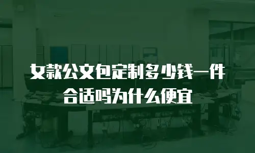 女款公文包定制多少钱一件合适吗为什么便宜