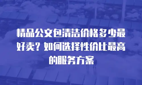 精品公文包清洁价格多少最好卖？如何选择性价比最高的服务方案