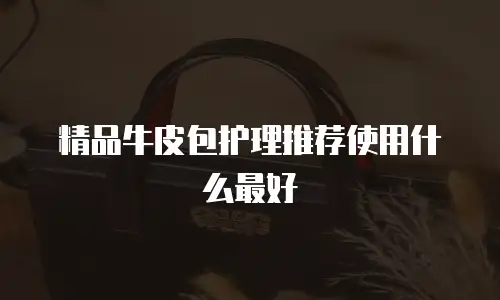 精品牛皮包护理推荐使用什么最好