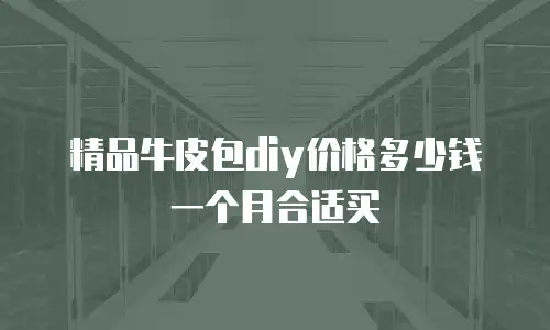 精品牛皮包diy价格多少钱一个月合适买