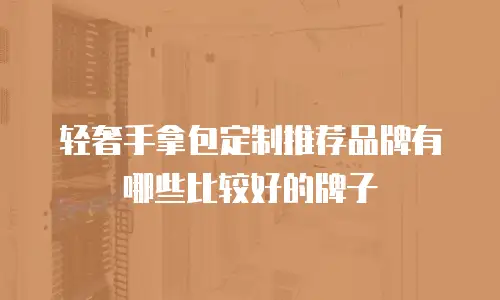 轻奢手拿包定制推荐品牌有哪些比较好的牌子