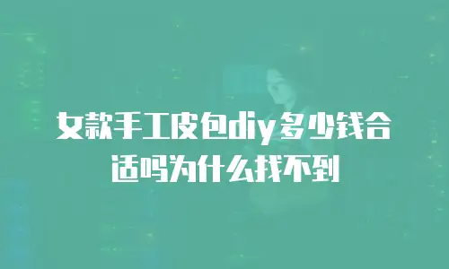 女款手工皮包diy多少钱合适吗为什么找不到