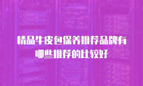 精品牛皮包保养推荐品牌有哪些推荐的比较好