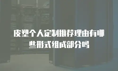 皮塑个人定制推荐理由有哪些形式组成部分吗