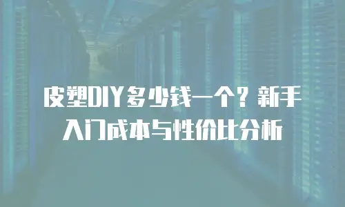 皮塑DIY多少钱一个？新手入门成本与性价比分析