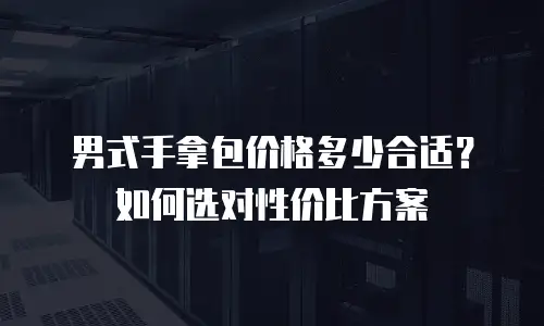 男式手拿包价格多少合适？如何选对性价比方案