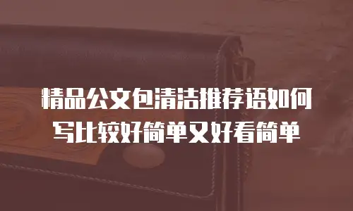 精品公文包清洁推荐语如何写比较好简单又好看简单