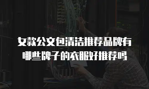 女款公文包清洁推荐品牌有哪些牌子的衣服好推荐吗