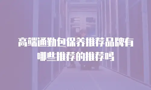 高端通勤包保养推荐品牌有哪些推荐的推荐吗