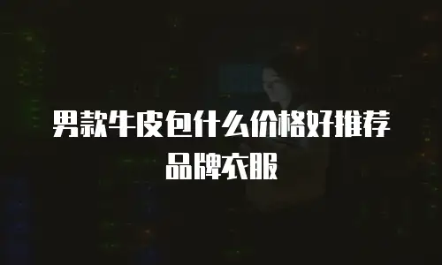 男款牛皮包什么价格好推荐品牌衣服