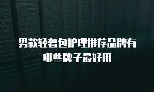 男款轻奢包护理推荐品牌有哪些牌子最好用