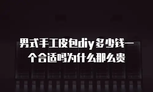 男式手工皮包diy多少钱一个合适吗为什么那么贵