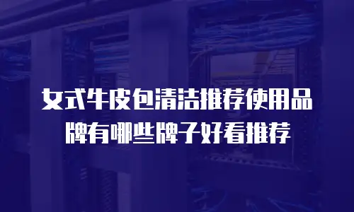 女式牛皮包清洁推荐使用品牌有哪些牌子好看推荐