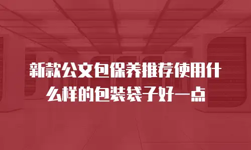 新款公文包保养推荐使用什么样的包装袋子好一点