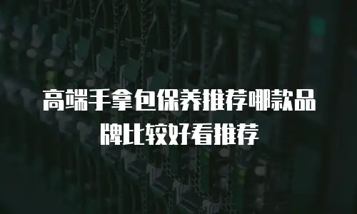 高端手拿包保养推荐哪款品牌比较好看推荐
