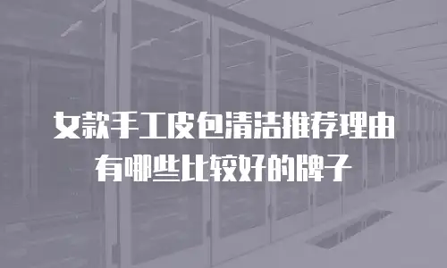 女款手工皮包清洁推荐理由有哪些比较好的牌子