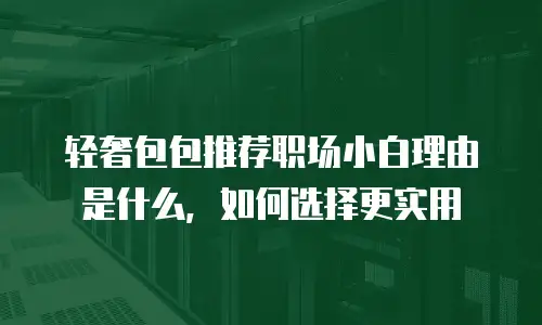 轻奢包包推荐职场小白理由是什么，如何选择更实用
