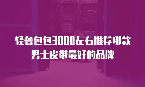 轻奢包包3000左右推荐哪款男士皮带最好的品牌