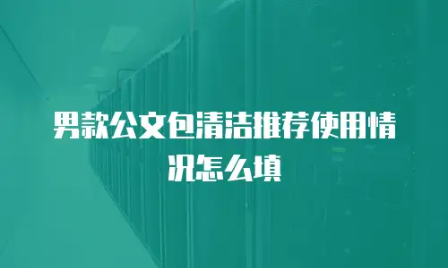 男款公文包清洁推荐使用情况怎么填