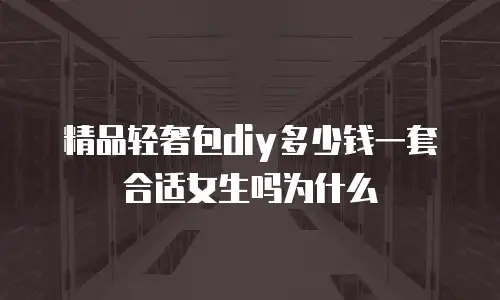 精品轻奢包diy多少钱一套合适女生吗为什么