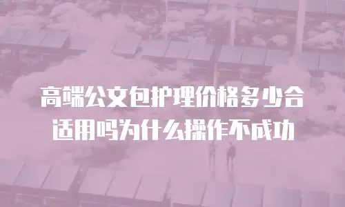 高端公文包护理价格多少合适用吗为什么操作不成功