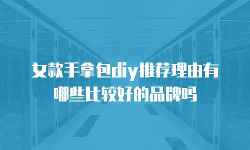 女款手拿包diy推荐理由有哪些比较好的品牌吗