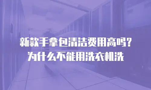 新款手拿包清洁费用高吗？为什么不能用洗衣机洗