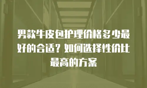 男款牛皮包护理价格多少最好的合适？如何选择性价比最高的方案