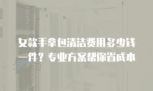 女款手拿包清洁费用多少钱一件？专业方案帮你省成本