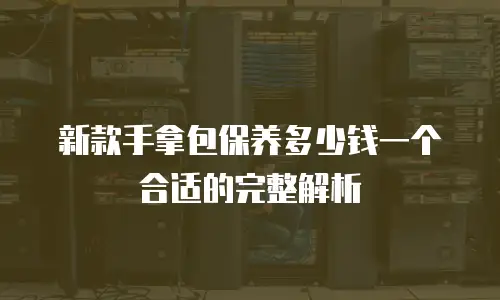 新款手拿包保养多少钱一个合适的完整解析