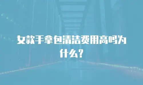 女款手拿包清洁费用高吗为什么？