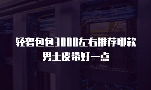 轻奢包包3000左右推荐哪款男士皮带好一点