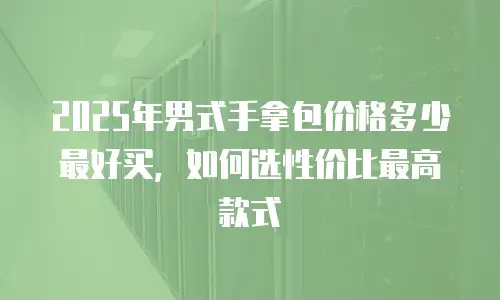 2025年男式手拿包价格多少最好买，如何选性价比最高款式