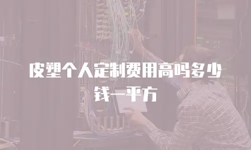 皮塑个人定制费用高吗多少钱一平方