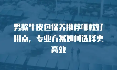 男款牛皮包保养推荐哪款好用点，专业方案如何选择更高效